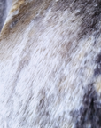 Sweat grrr CAROLINE BISS - 𝐌𝐚𝐫𝐢𝐧𝐚𝟒𝟒𝐟𝐚𝐦𝐢𝐥𝐲
