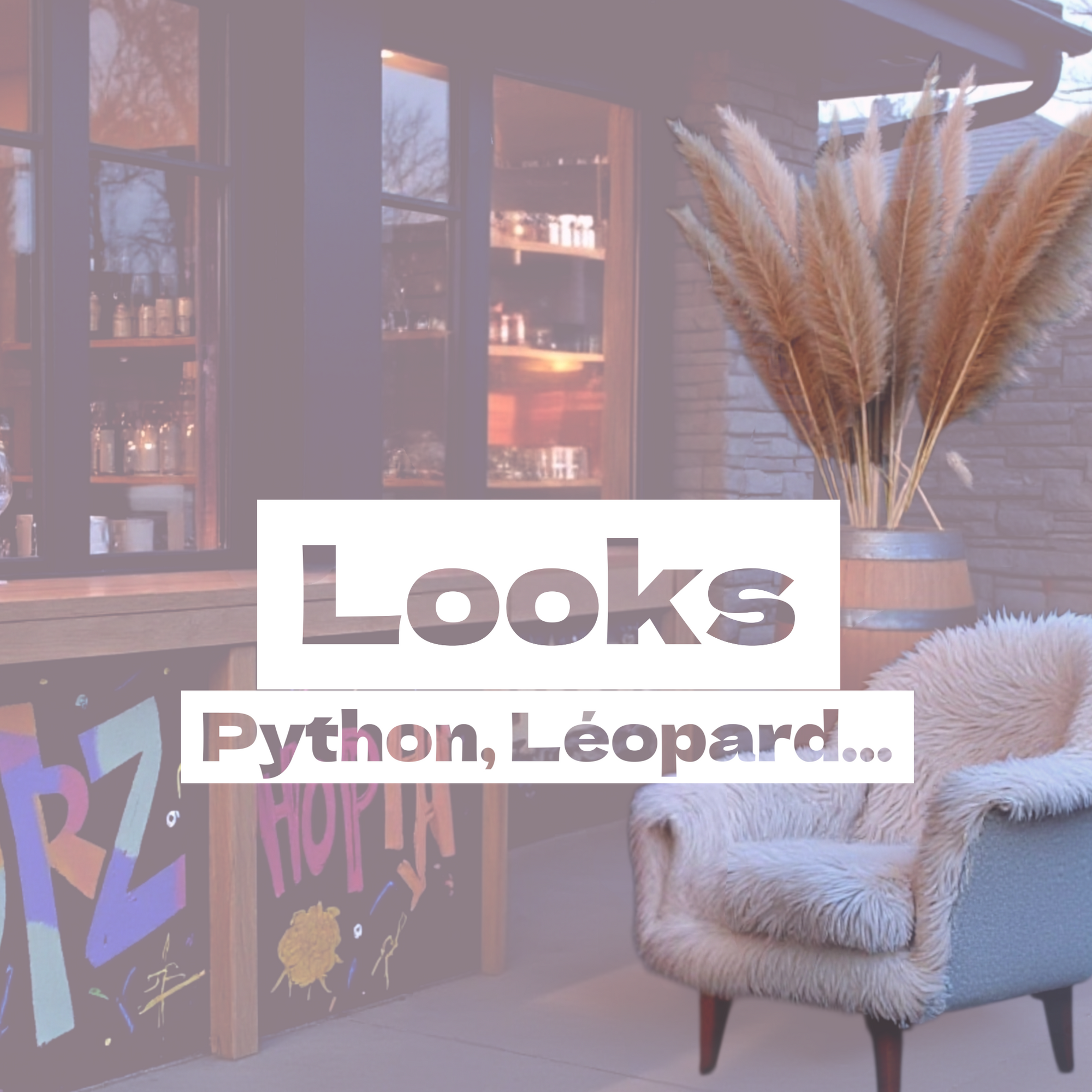 Les imprimés LEOPARD & PYTHON 🐍