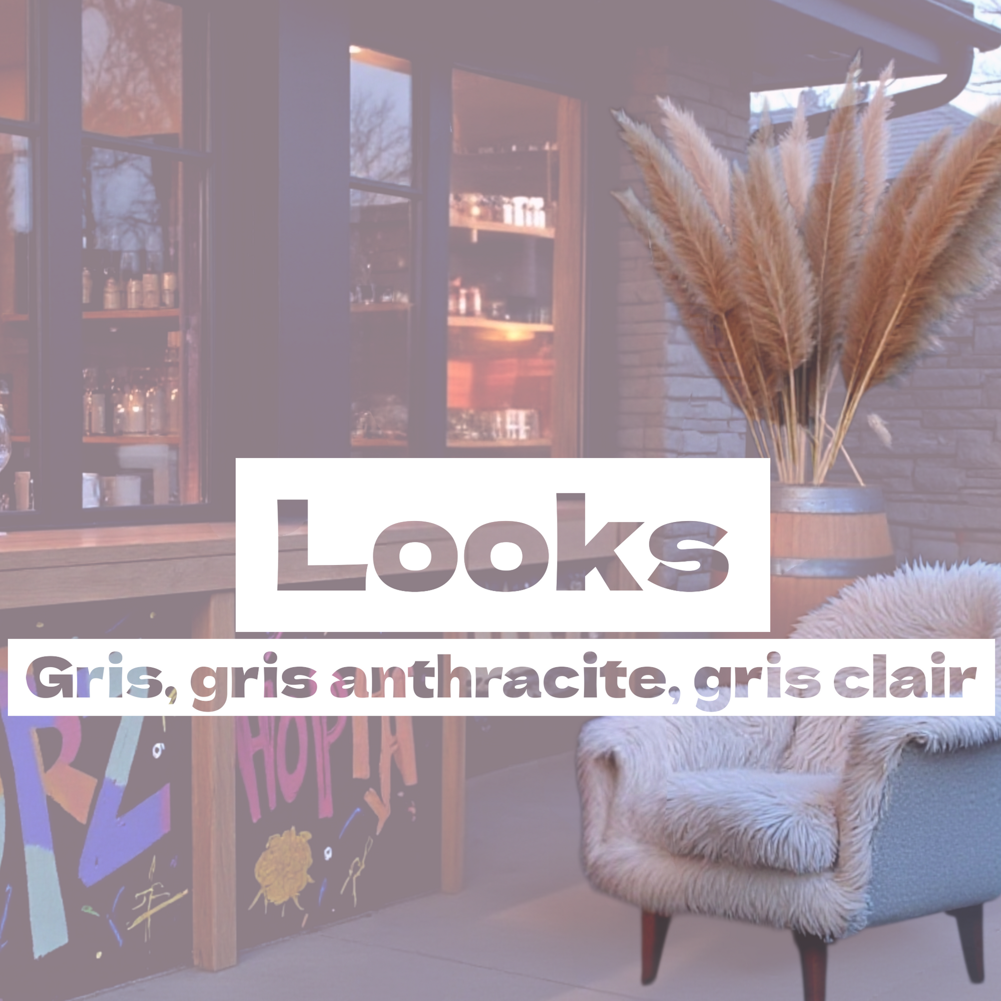 🩶 LOOKS gris, gris anthracite, gris clair...