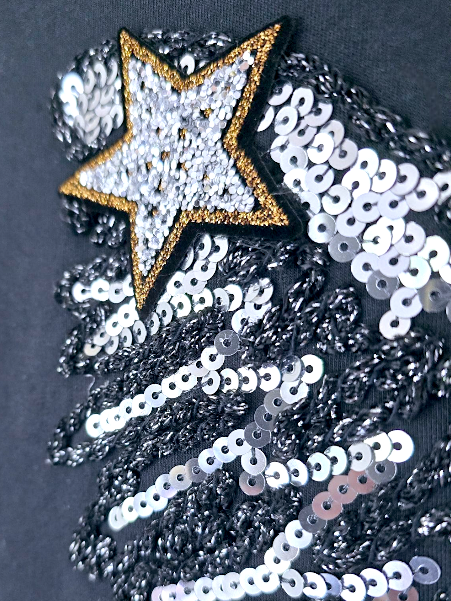 Veste ailes sequins