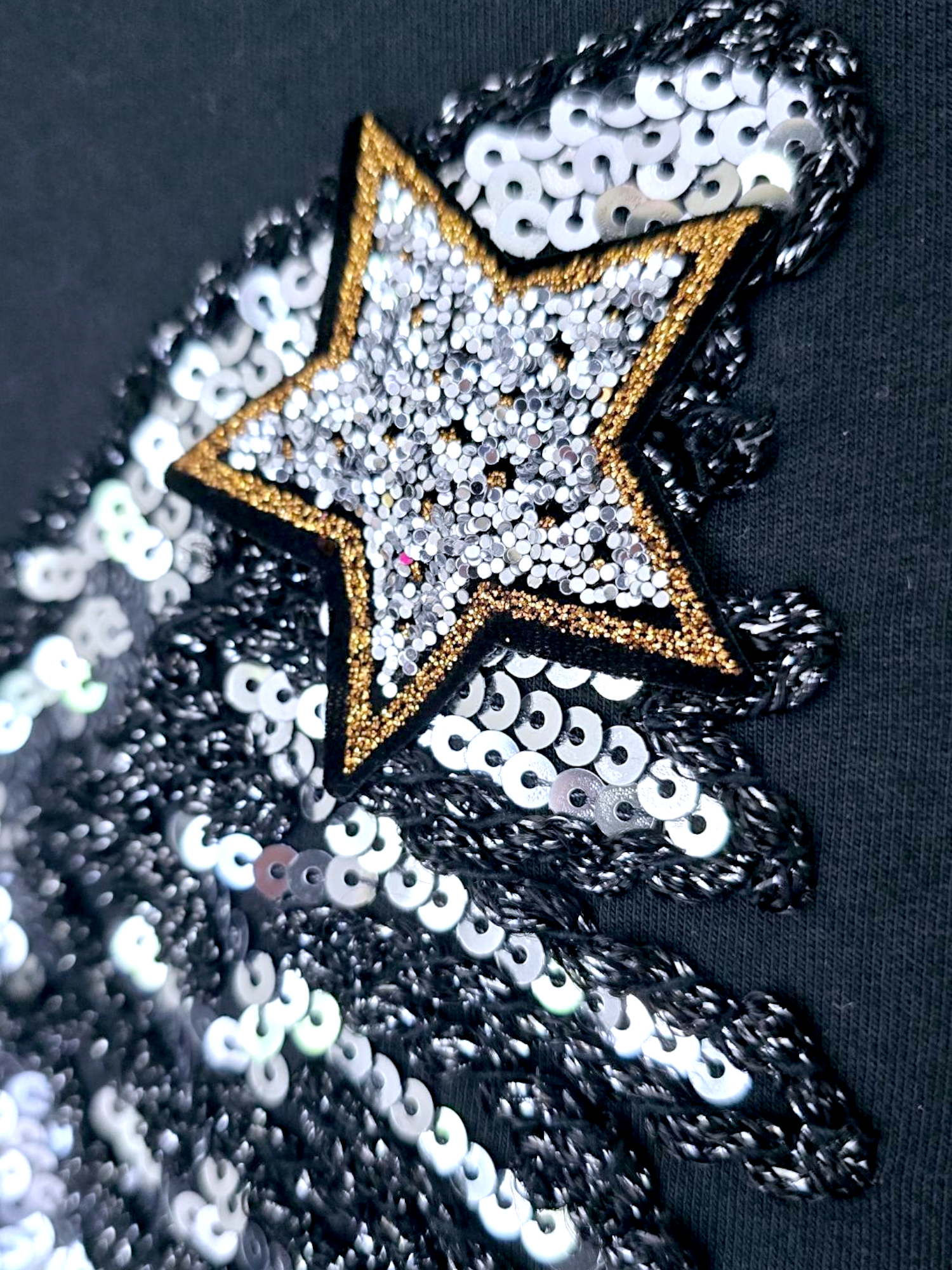 Veste ailes sequins