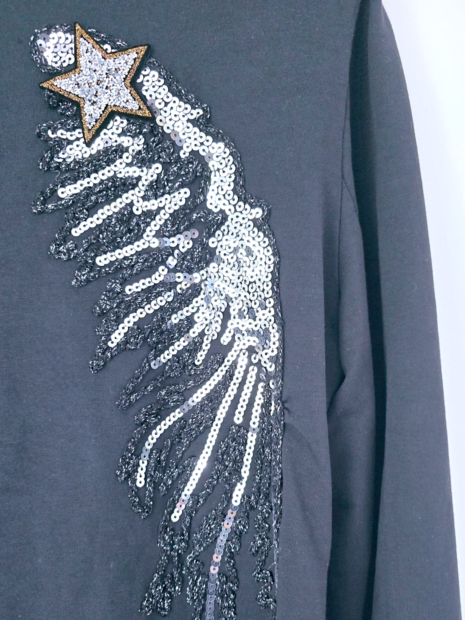 Veste ailes sequins