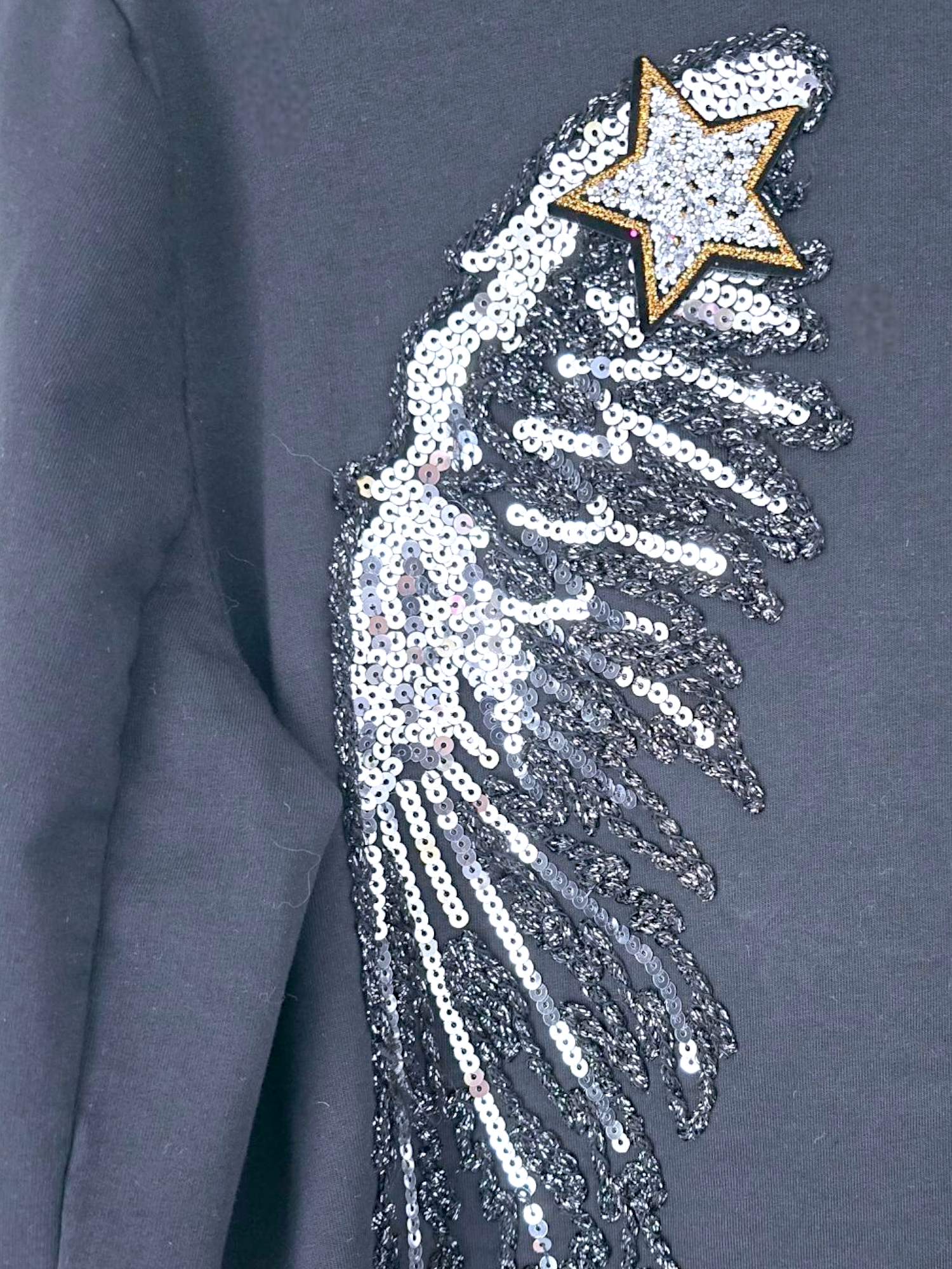 Veste ailes sequins