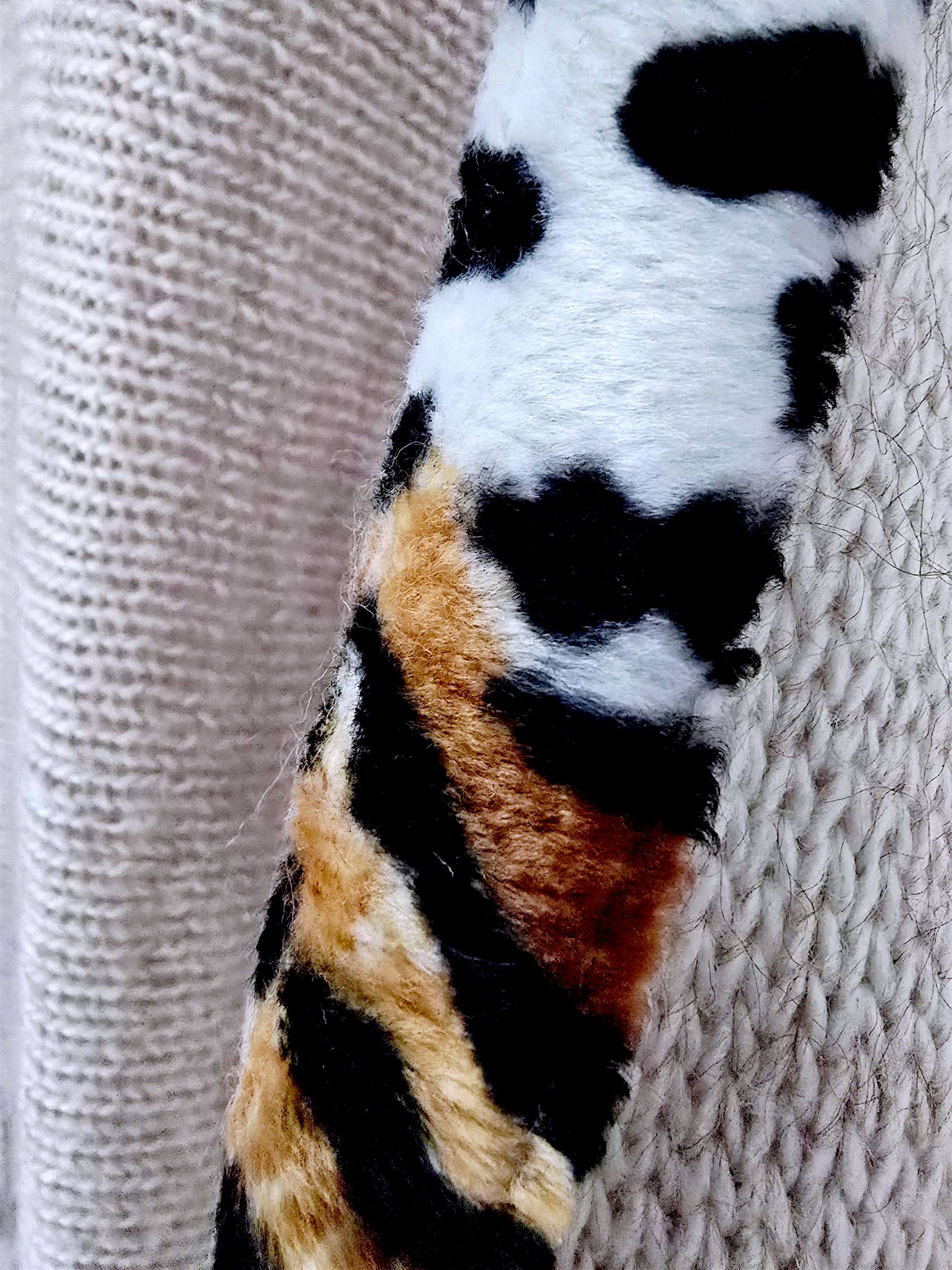 Pull beige à maille ajourée avec bandes latérales léo - 𝐌𝐚𝐫𝐢𝐧𝐚𝟒𝟒𝐟𝐚𝐦𝐢𝐥𝐲