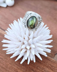 Bague indienne - 𝐌𝐚𝐫𝐢𝐧𝐚𝟒𝟒𝐟𝐚𝐦𝐢𝐥𝐲