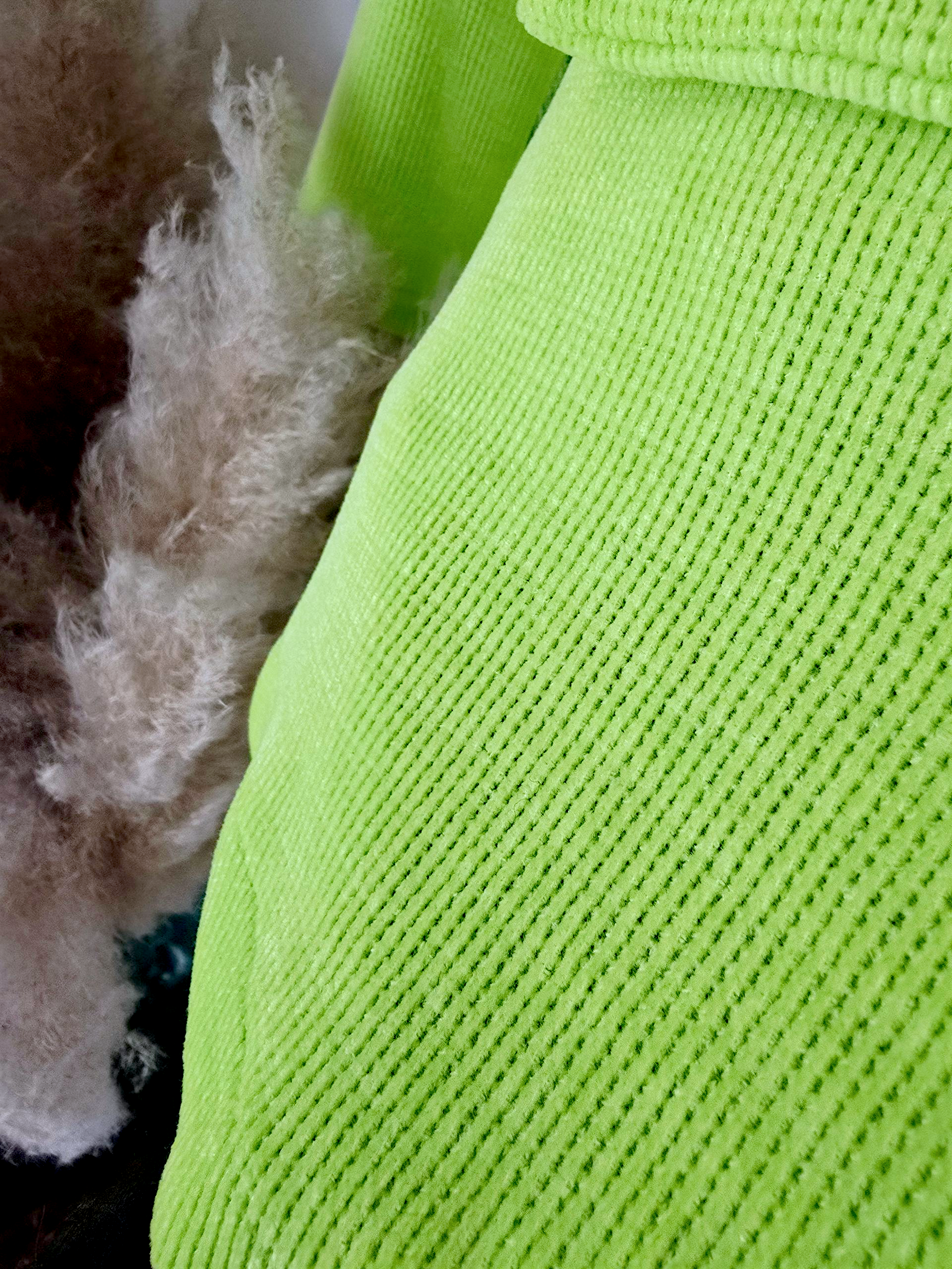 Veste anis skull léo