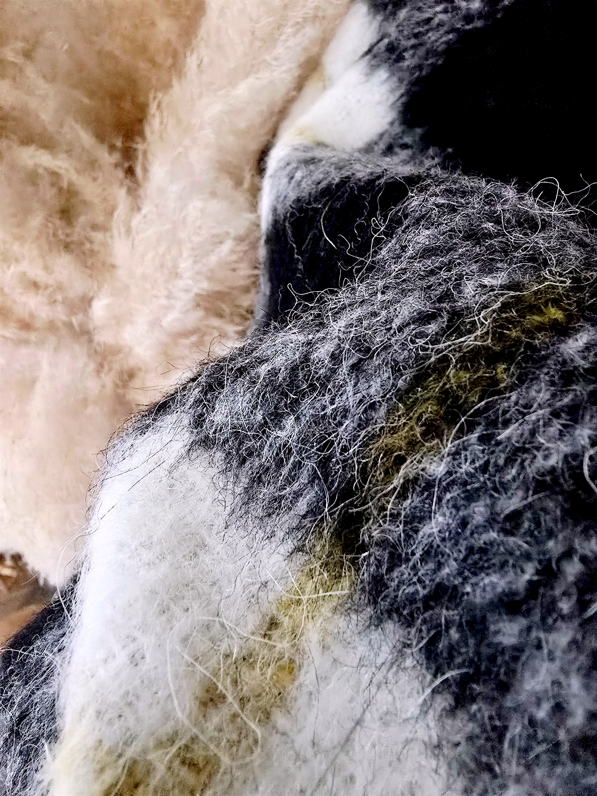 Manteau chaud à carreaux