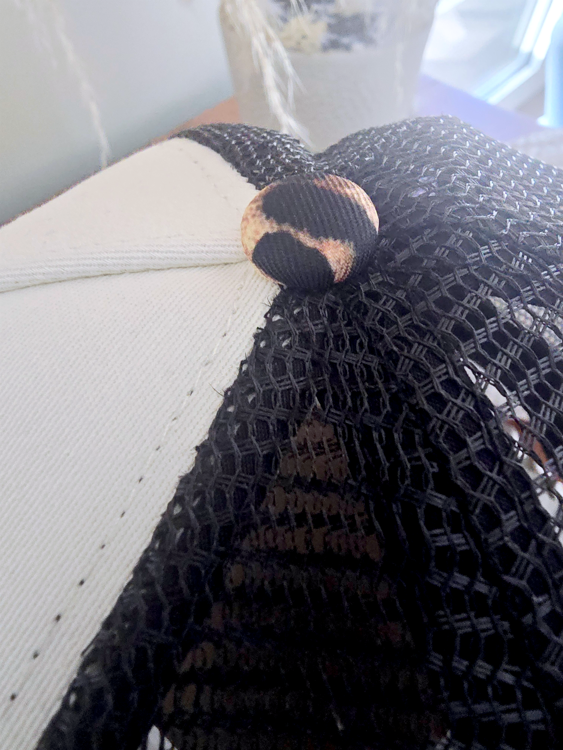 Casquette Home run print Sweet Pants