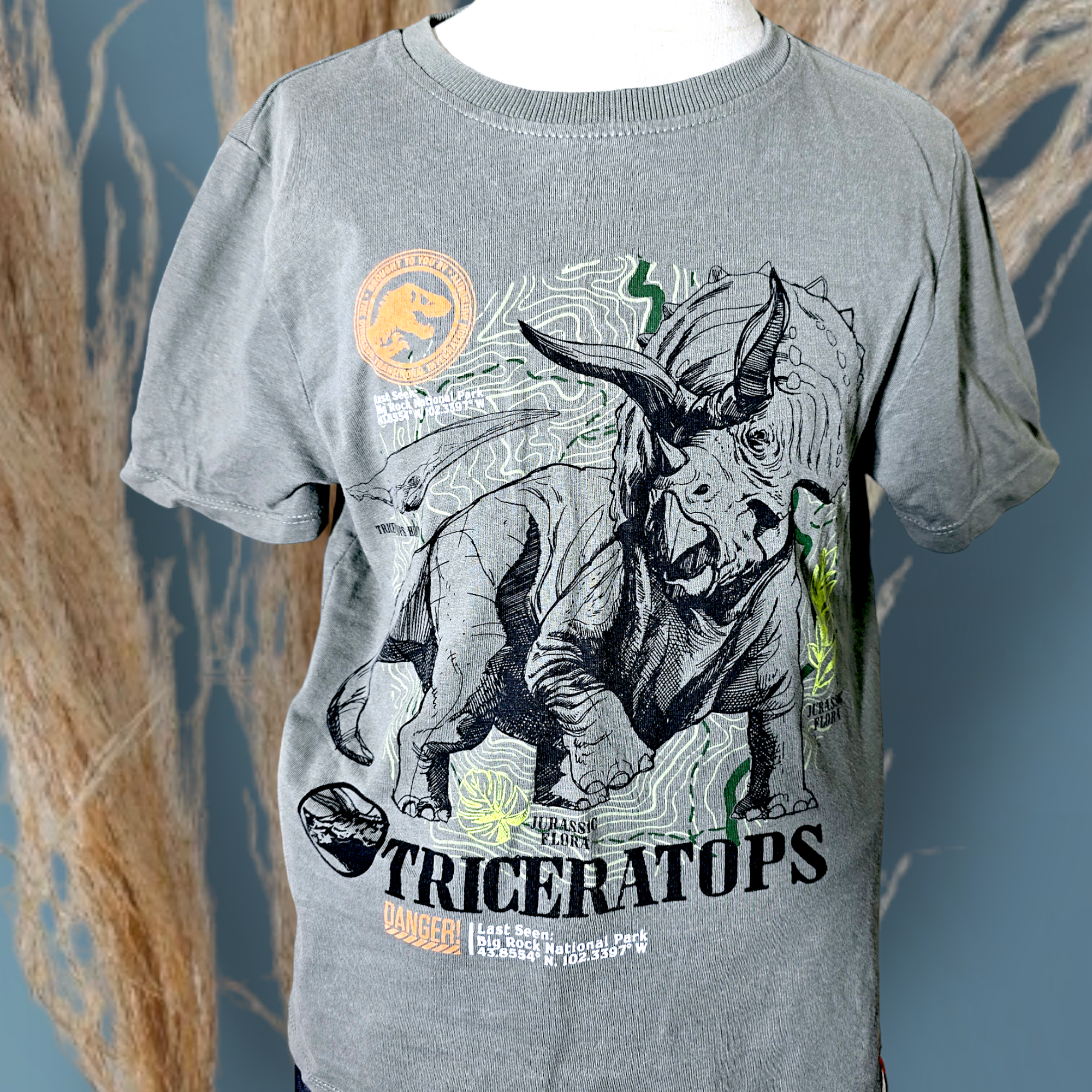 Tee-shirt garçon                                             JURASSIC WORLD - 𝐌𝐚𝐫𝐢𝐧𝐚𝟒𝟒𝐟𝐚𝐦𝐢𝐥𝐲