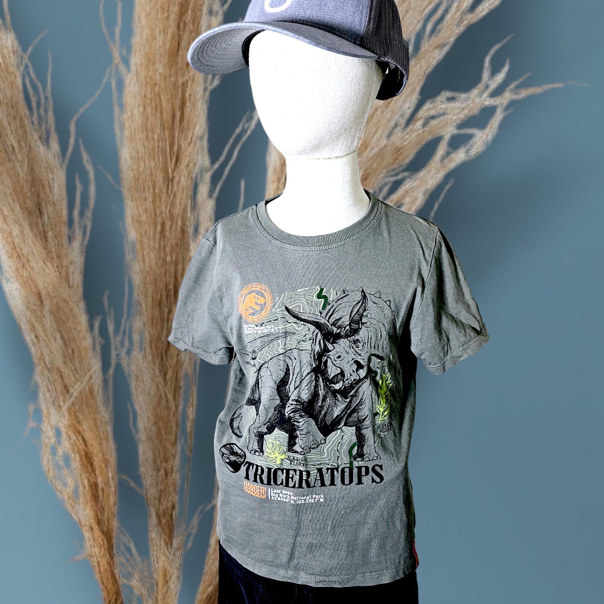 Tee-shirt garçon                                             JURASSIC WORLD - 𝐌𝐚𝐫𝐢𝐧𝐚𝟒𝟒𝐟𝐚𝐦𝐢𝐥𝐲