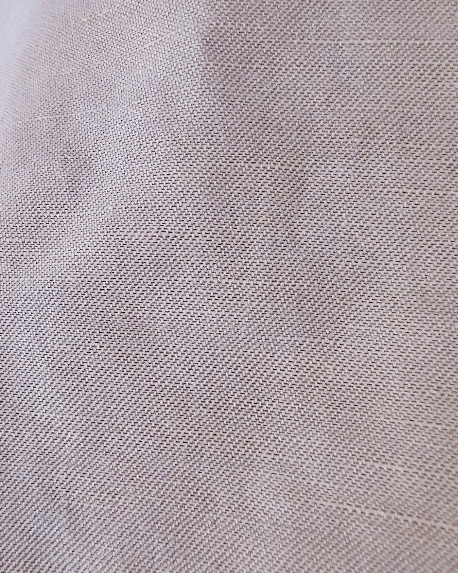 Short beige - 𝐌𝐚𝐫𝐢𝐧𝐚𝟒𝟒𝐟𝐚𝐦𝐢𝐥𝐲