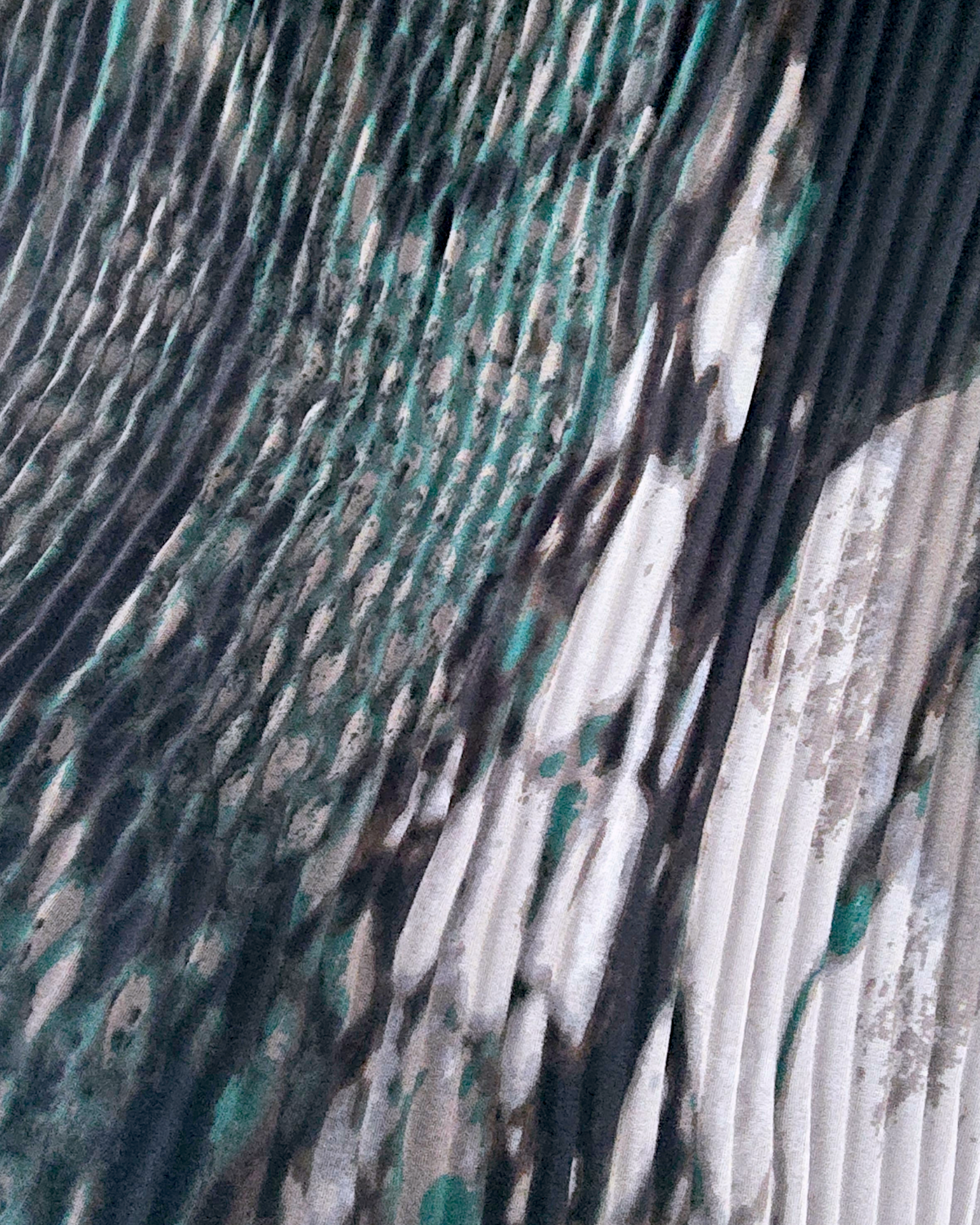 Robe imprimée python - 𝐌𝐚𝐫𝐢𝐧𝐚𝟒𝟒𝐟𝐚𝐦𝐢𝐥𝐲