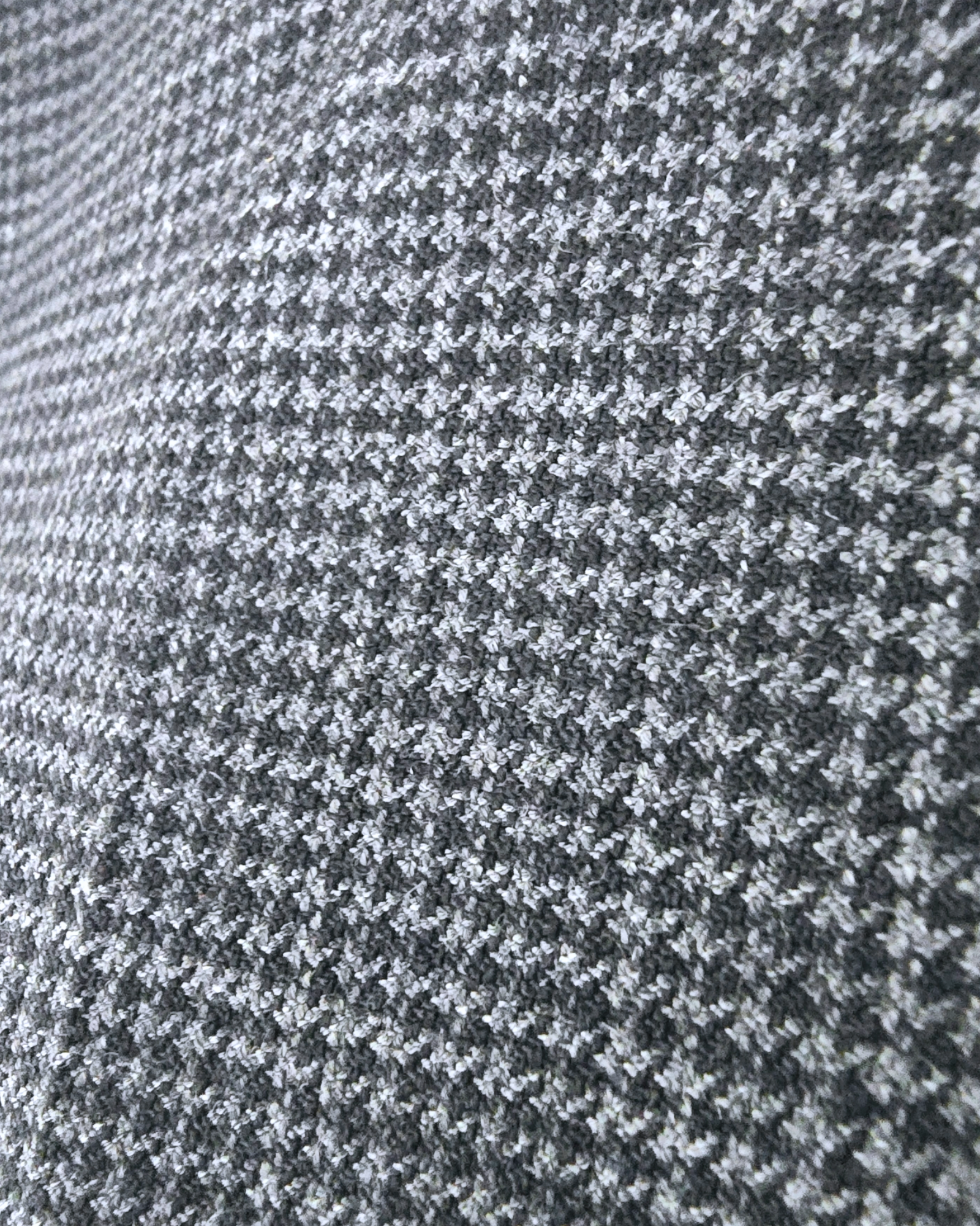 Short chic cloutés