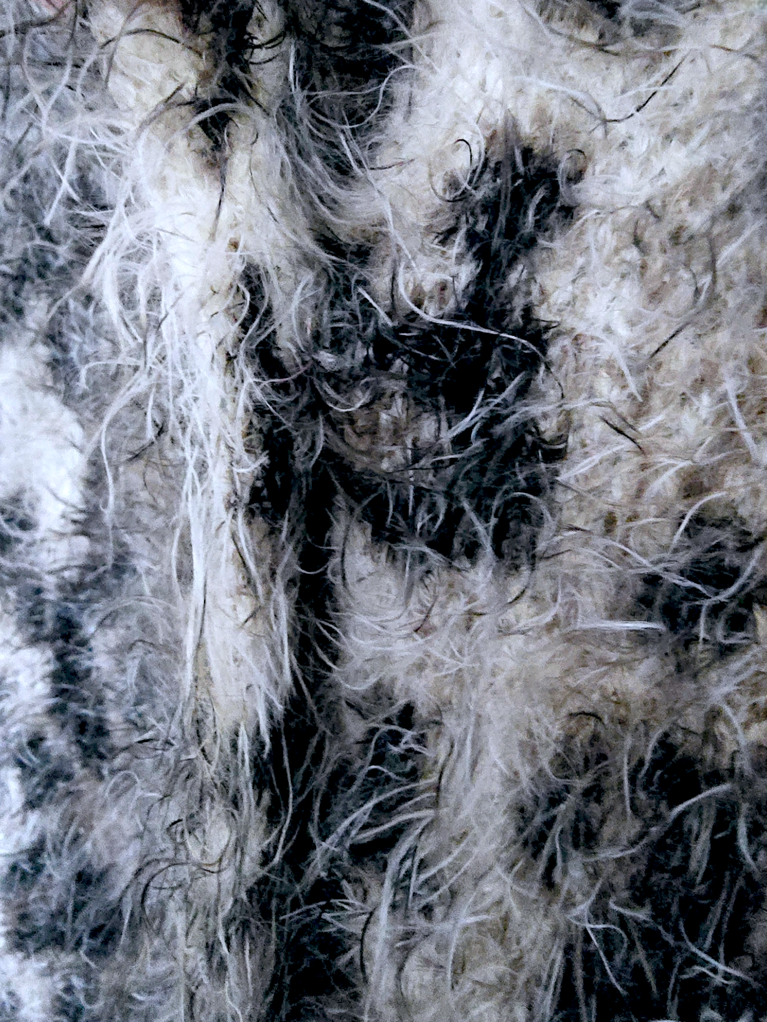 Cardigan léo