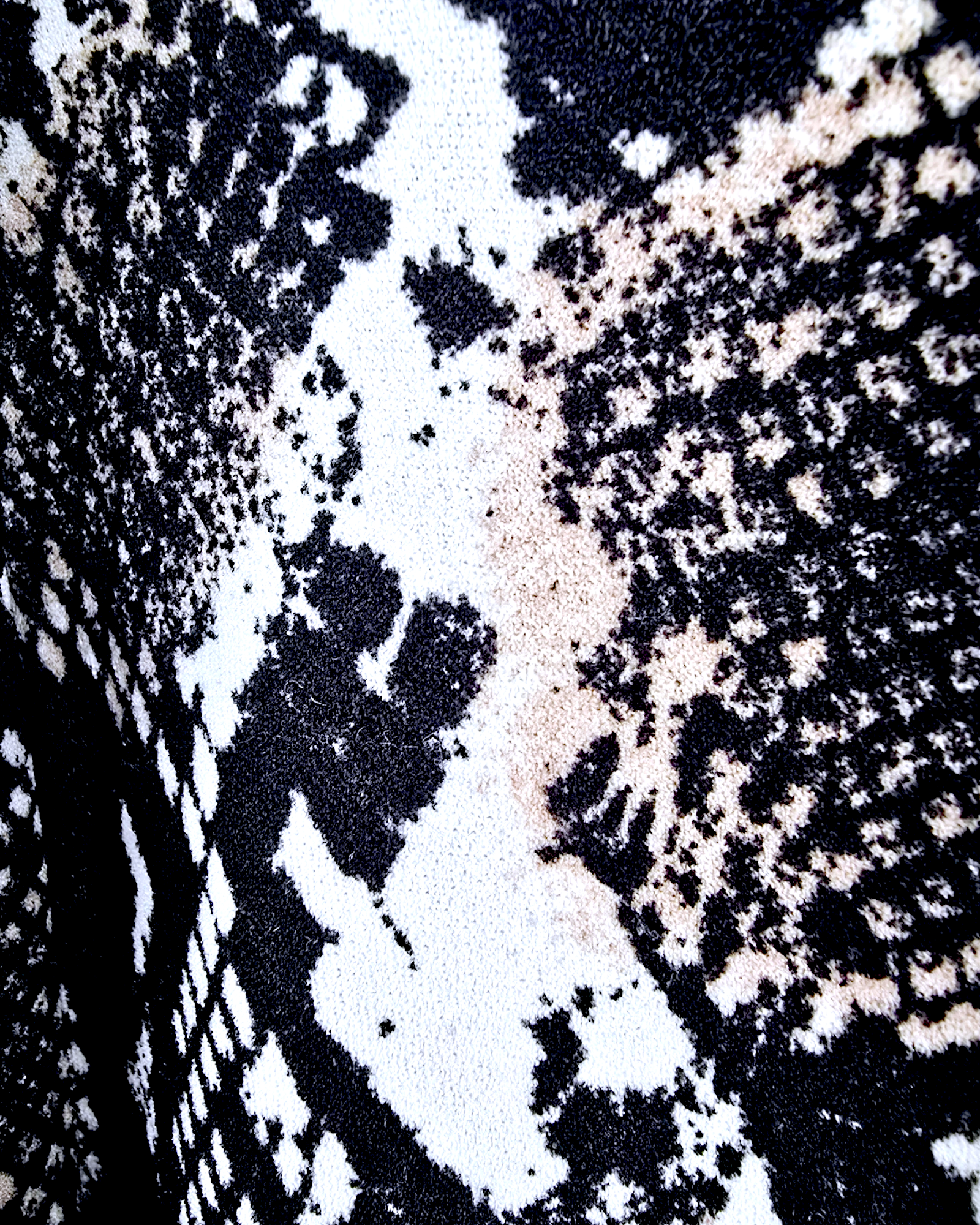 Veste python rock