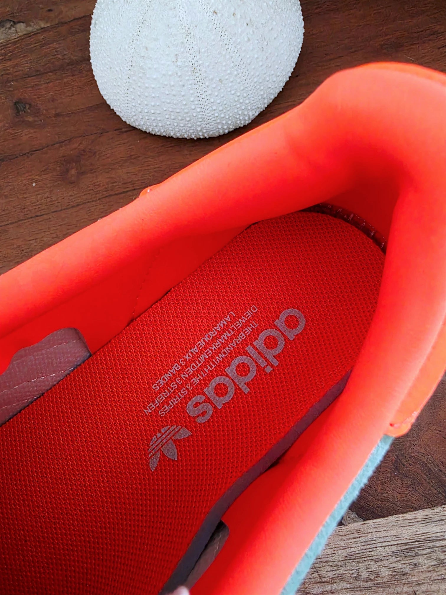 Baskets gazelle Indoor vert d'eau et orange fluo - 𝐌𝐚𝐫𝐢𝐧𝐚𝟒𝟒𝐟𝐚𝐦𝐢𝐥𝐲